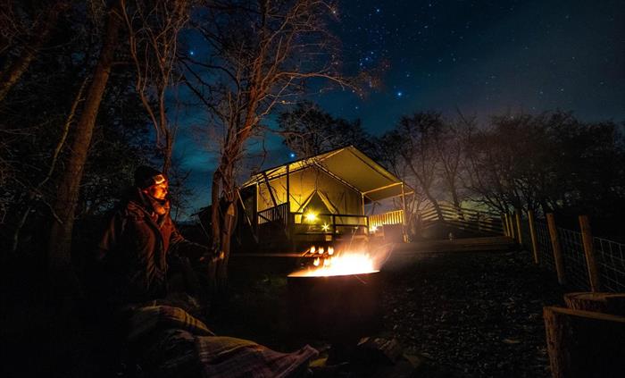 Roast marshmallows and gaze at the stars